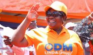 Gladys Wanga Backs Oburu Oginga, Downplays Orange Democratic Movement Wrangles Ahead of NEC Meeting